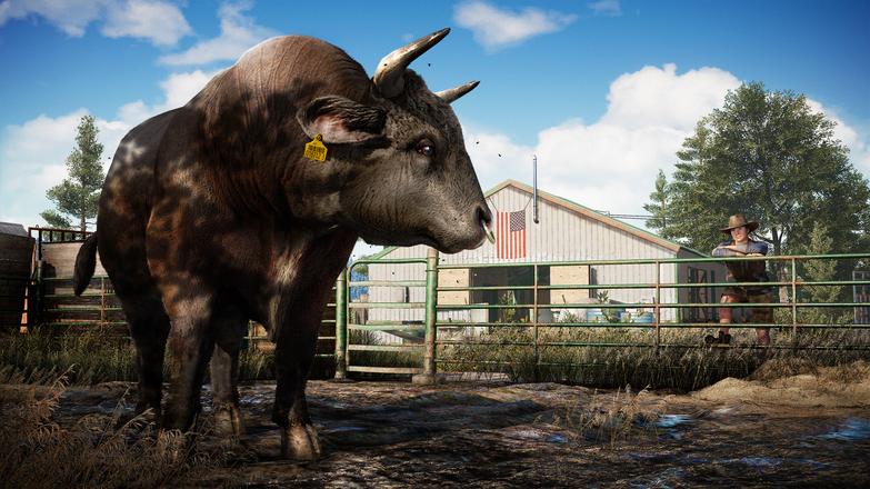 Far Cry 5 XBOX One / Xbox Series X|S Account screenshot 5