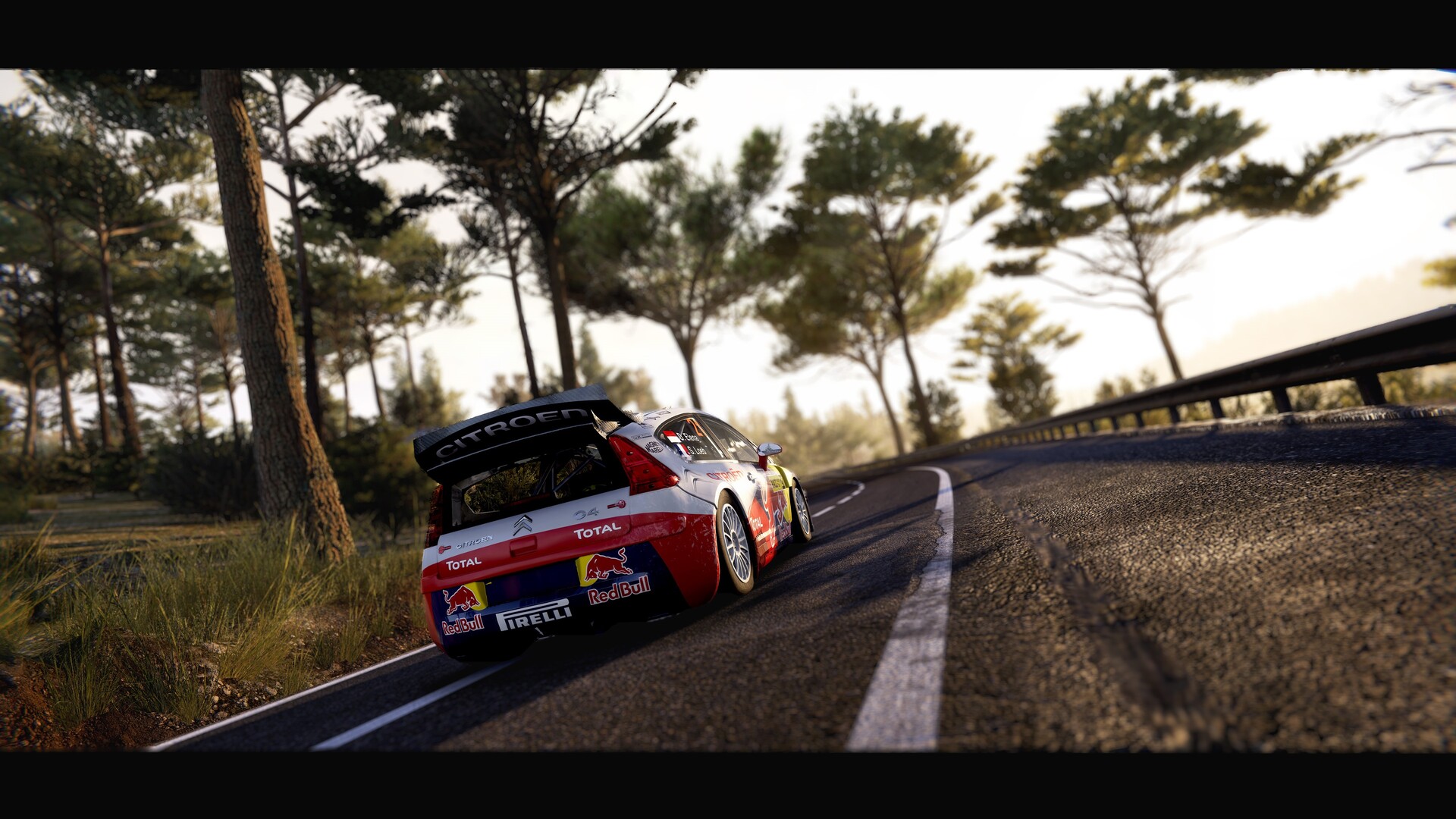 WRC Generations - Citroën C4 WRC 2010 DLC Steam CD Key screenshot 3