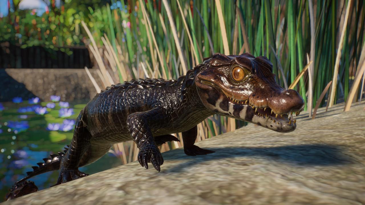 Planet Zoo - Aquatic Pack DLC EU PC Steam Altergift screenshot 11