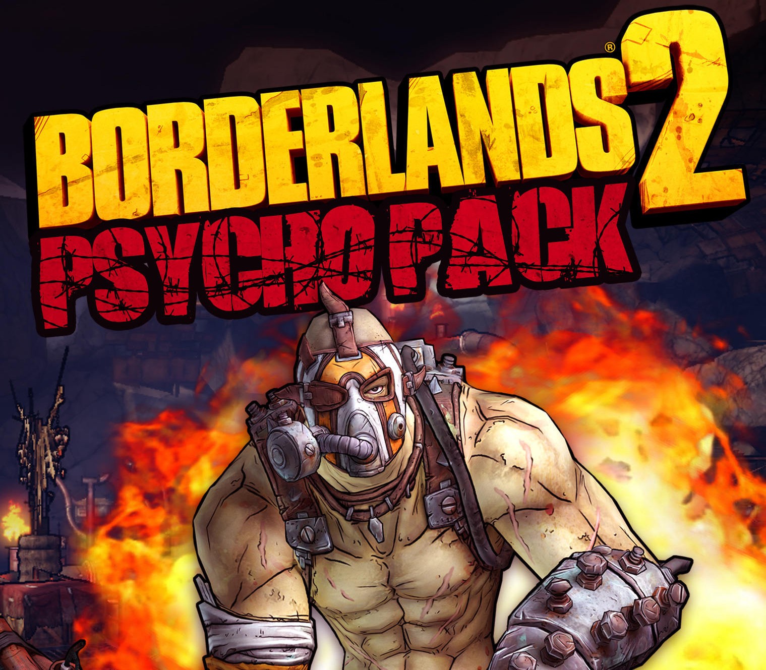 Borderlands 2 - Psycho Pack DLC EU PC Steam CD Key cover art