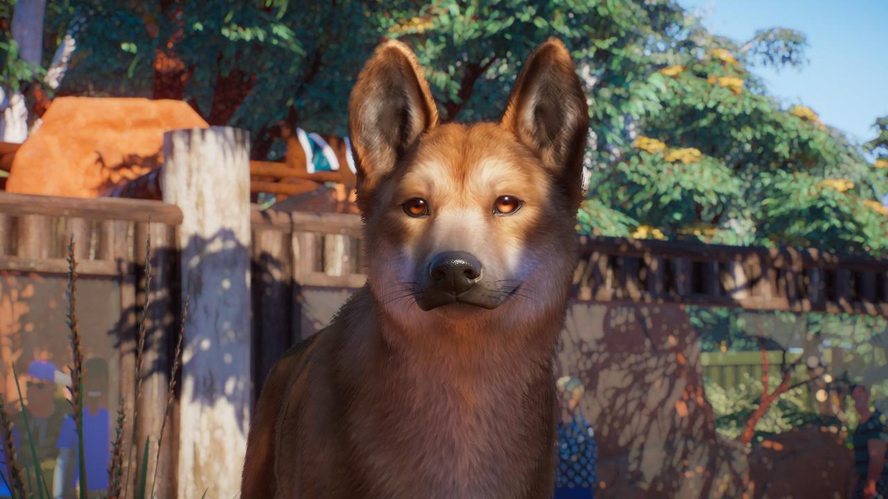 Planet Zoo - Australia Pack DLC EU PC Steam Altergift screenshot 8
