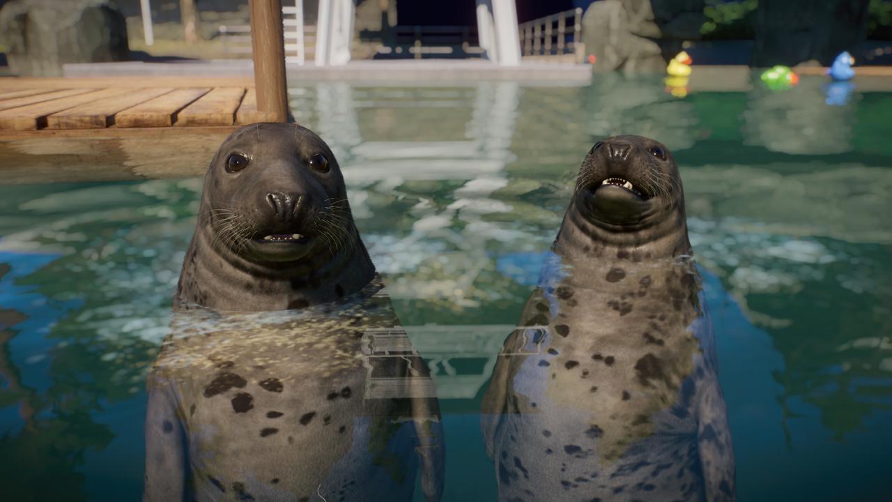 Planet Zoo - Aquatic Pack DLC EU PC Steam Altergift screenshot 3