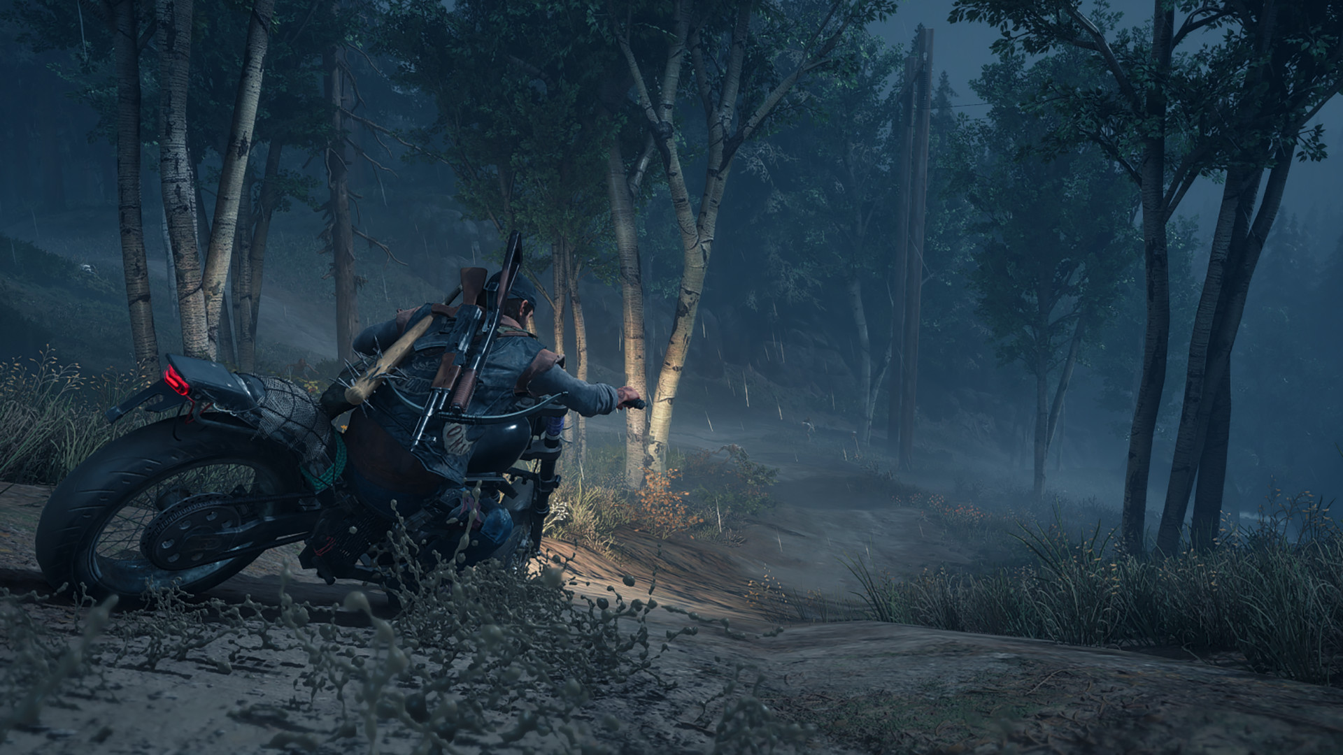 Ảnh chụp màn hình 5 của Days Gone PC Steam CD Key