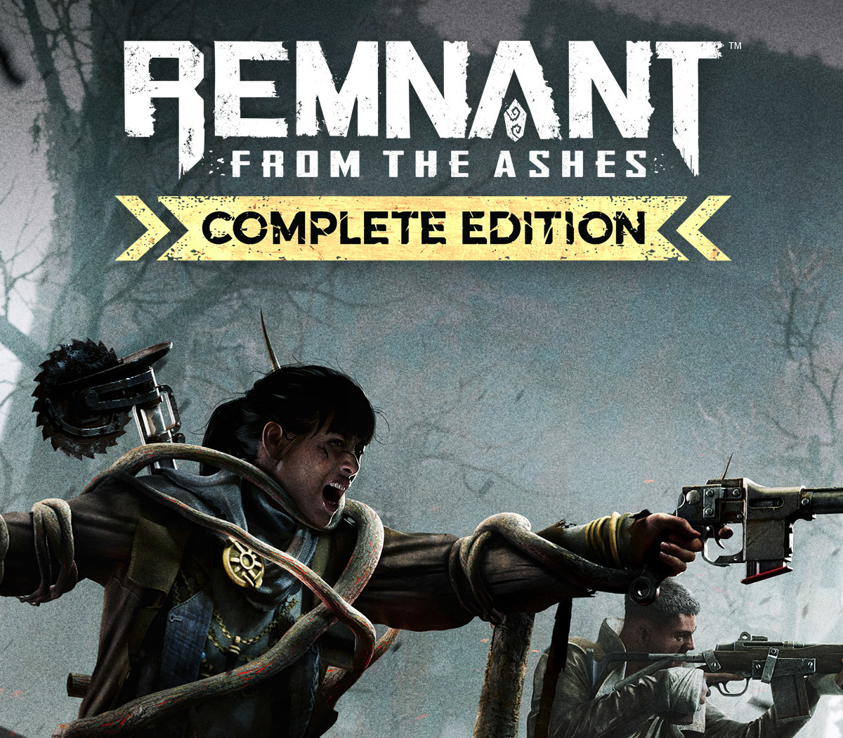 Remnant: From the Ashes Complete Edition Steam CD Key cover art