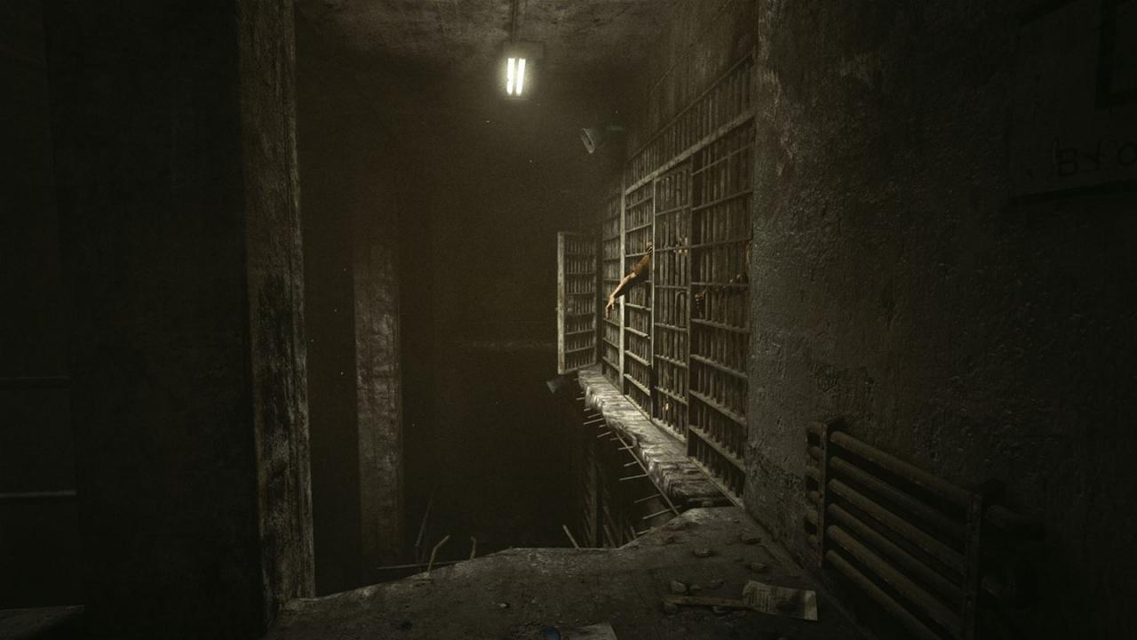 Outlast: Bundle of Terror PC Steam CD Key screenshot 3