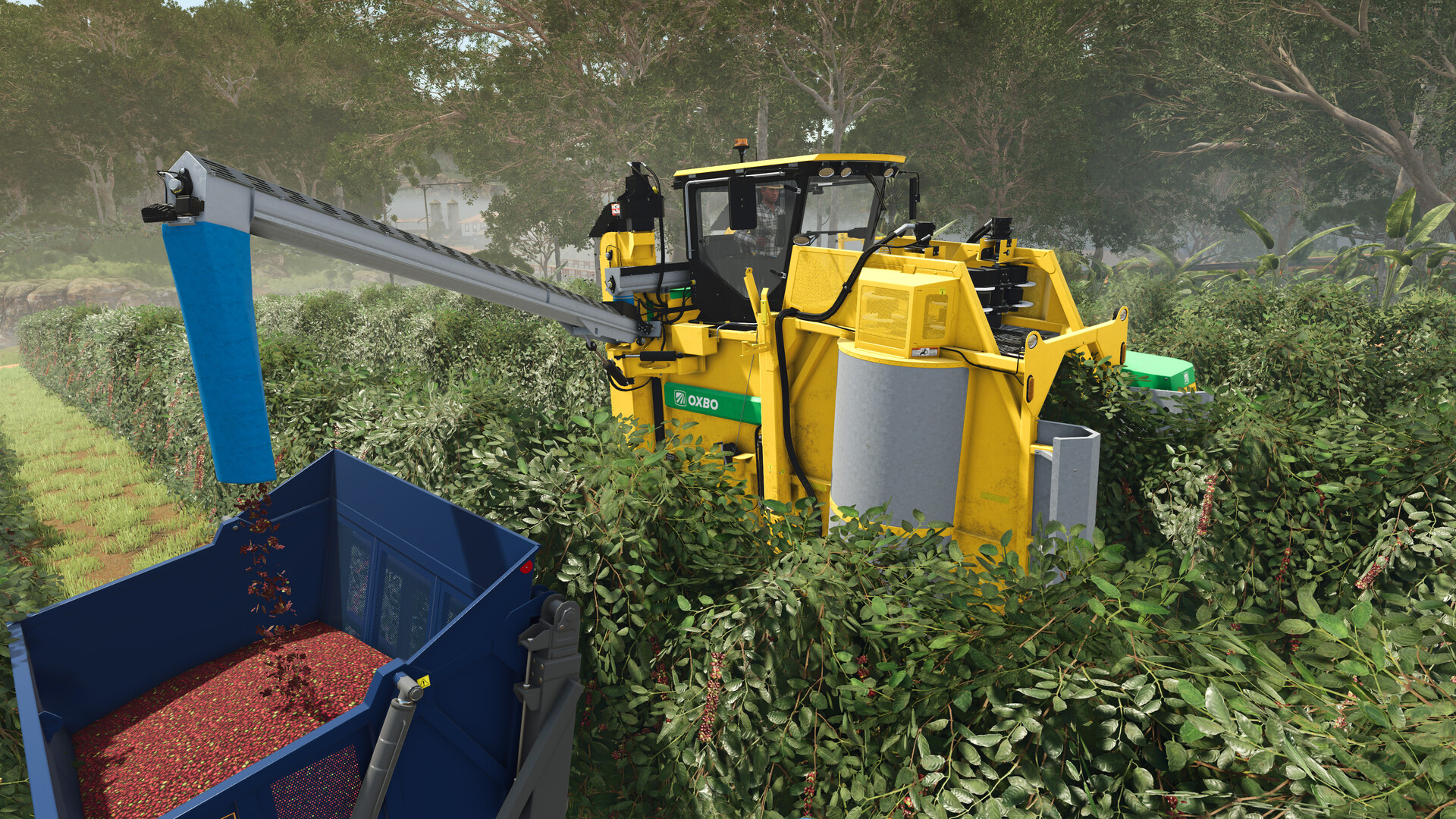 Farming Simulator 25 - Beans & Alpacas Expansion DLC PRE-ORDER EU PC Steam CD Key screenshot 2