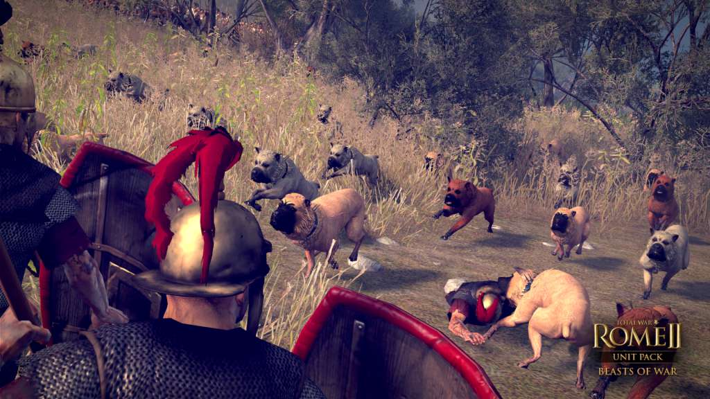 Total War: ROME II - Beasts of War Unit Pack DLC PC Steam CD Key screenshot 6