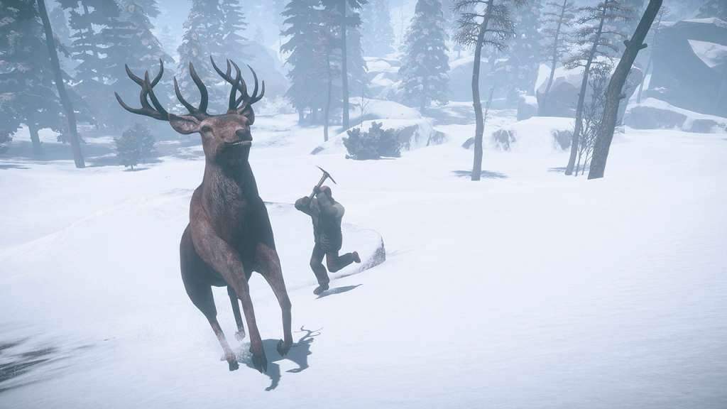 Capture d’écran 6 de RUST PC Steam CD Key