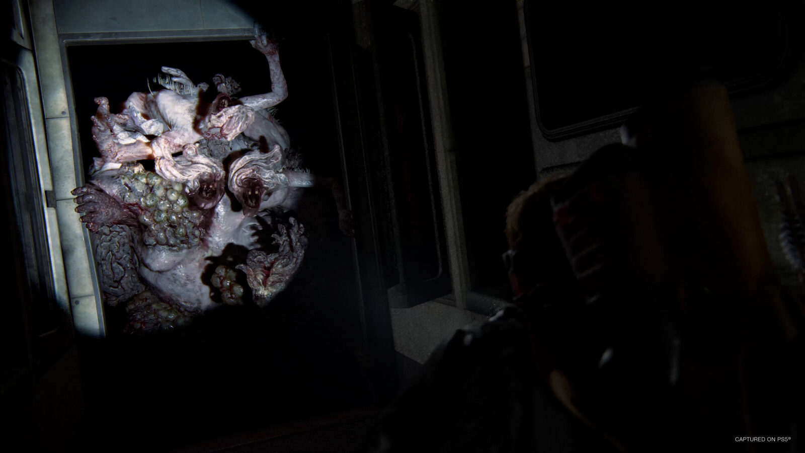 The Last of Us Part 2 Remastered EU PC Steam CD Key screenshot 6