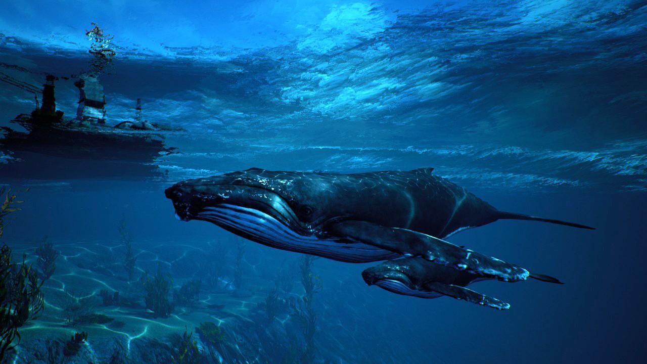 Maneater AR VPN Activated XBOX One CD Key screenshot 9