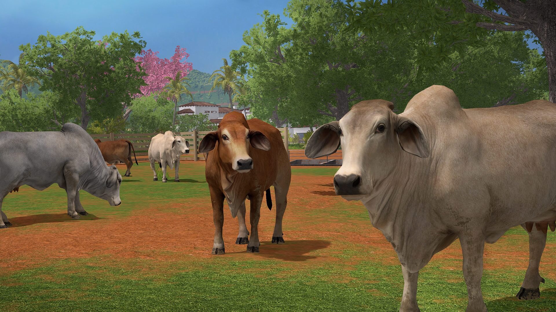 Farming Simulator 17 Platinum Edition PC Steam CD Key 截图 5