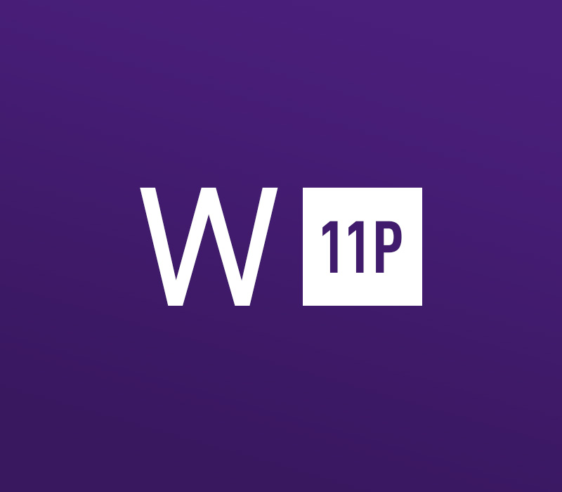 Windows 11 Professional OEM Key cover