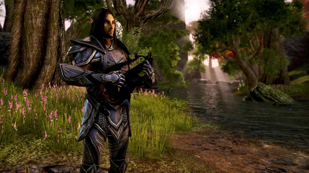 The Elder Scrolls Online - Explorer's Pack DLC EU PS4 CD Key screenshot 5