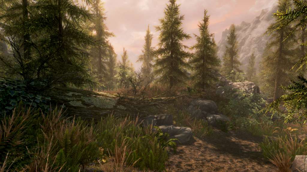The Elder Scrolls V: Skyrim Special Edition PC Steam Altergift screenshot 5