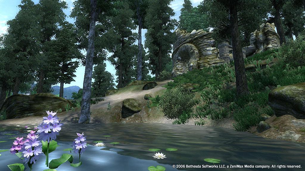 The Elder Scrolls IV: Oblivion GOTY Deluxe DLC Pack Steam CD Key  screenshot 1