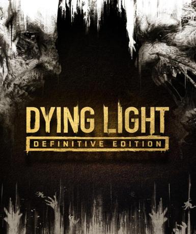 Dying Light (Definitive Edition - 10th Anniversary Edition) (Steam) cover art