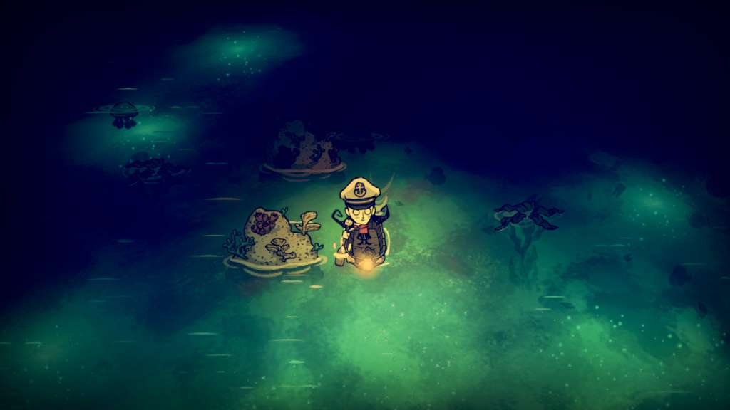 Don't Starve - Shipwrecked DLC Steam CD Key screenshot 5