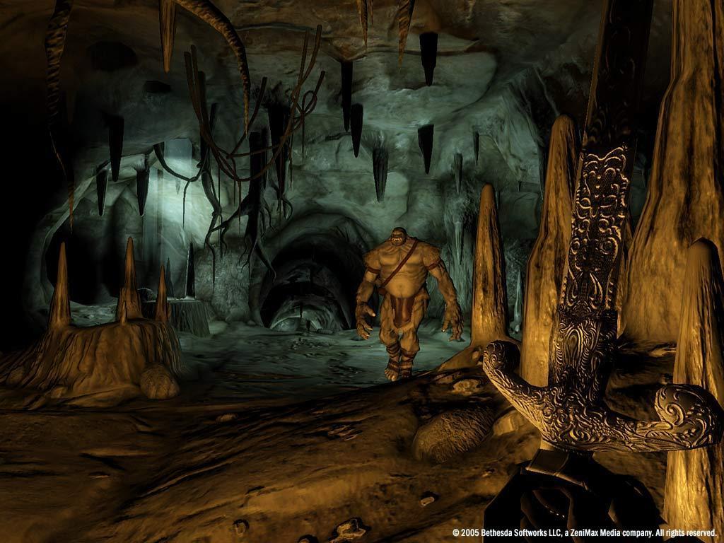 The Elder Scrolls IV: Oblivion GOTY Edition Deluxe PC Steam CD Key screenshot 4