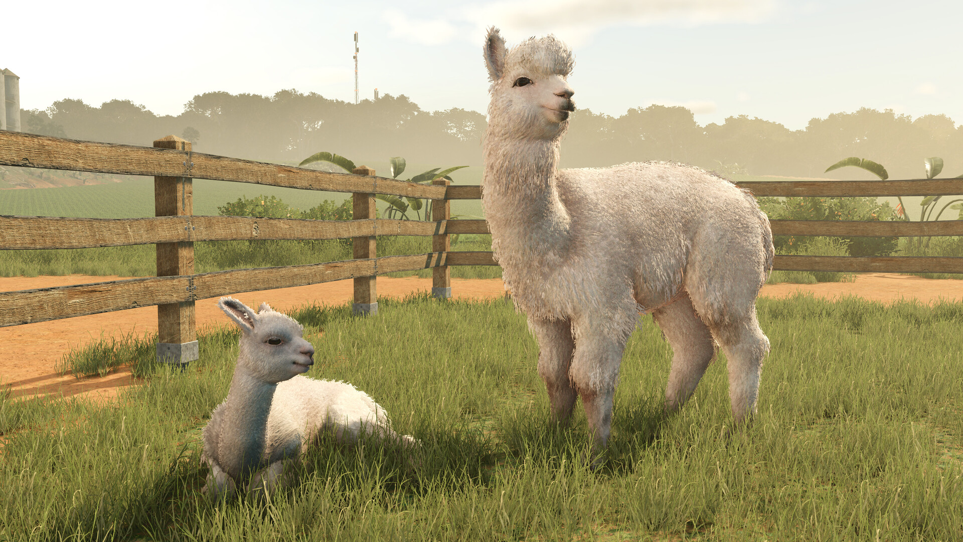 Farming Simulator 25: Beans & Alpacas Edition PRE-ORDER EU PC Giants Software CD Key screenshot 1