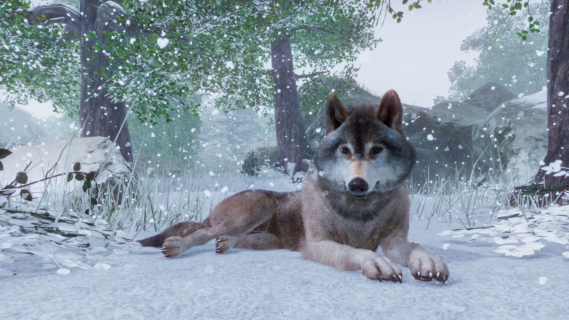 Planet Zoo Deluxe Edition EU PC Steam CD Key screenshot 2
