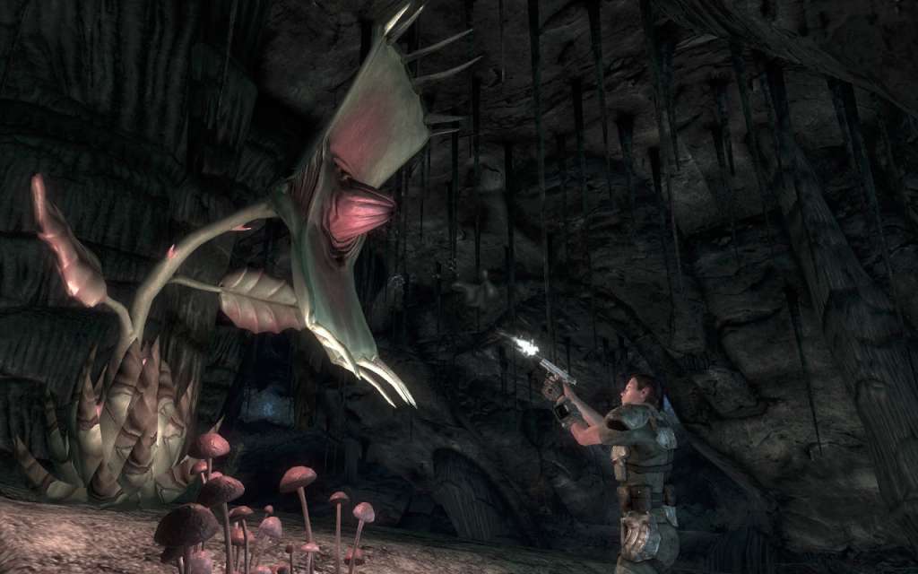 Fallout: New Vegas - Honest Hearts DLC EU Steam CD Key screenshot 1