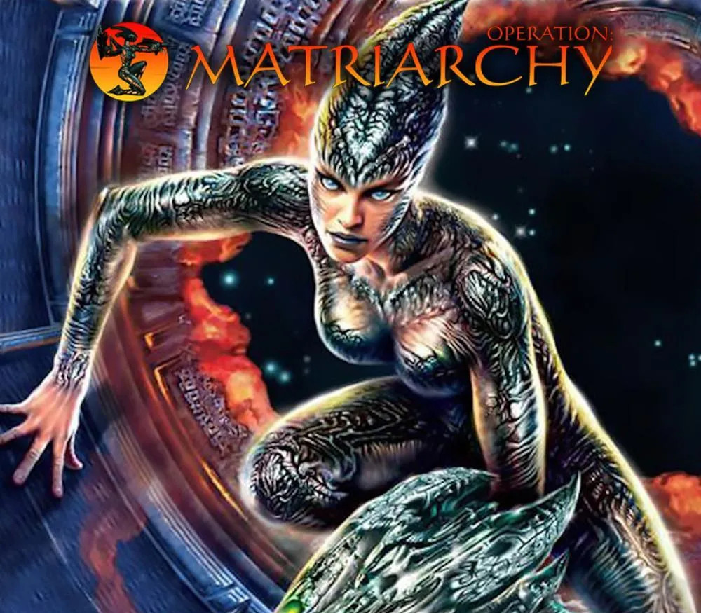 Operation: Matriarchy PC Steam CD Key cover art