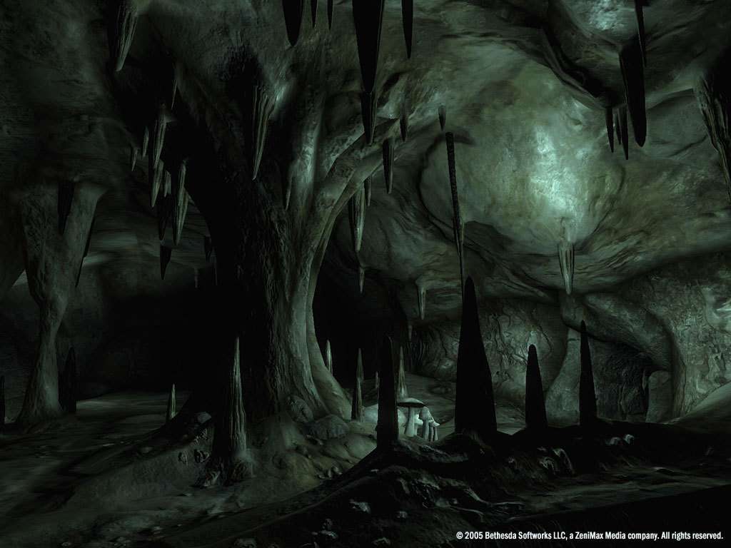 The Elder Scrolls IV: Oblivion GOTY Edition EU PC Steam CD Key screenshot 2