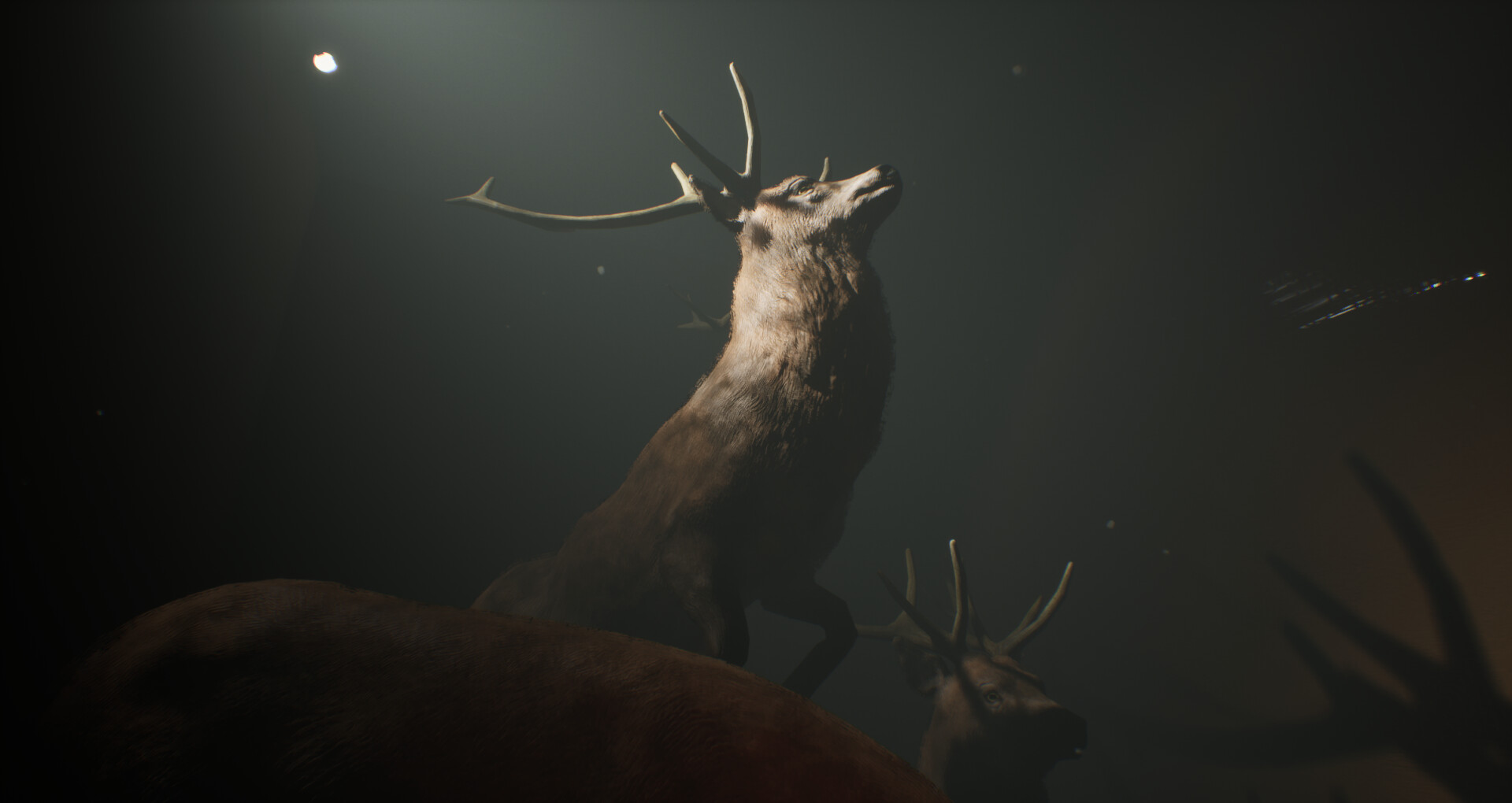 Project 13: Taxidermy Trails EU PS5 CD Key screenshot 1