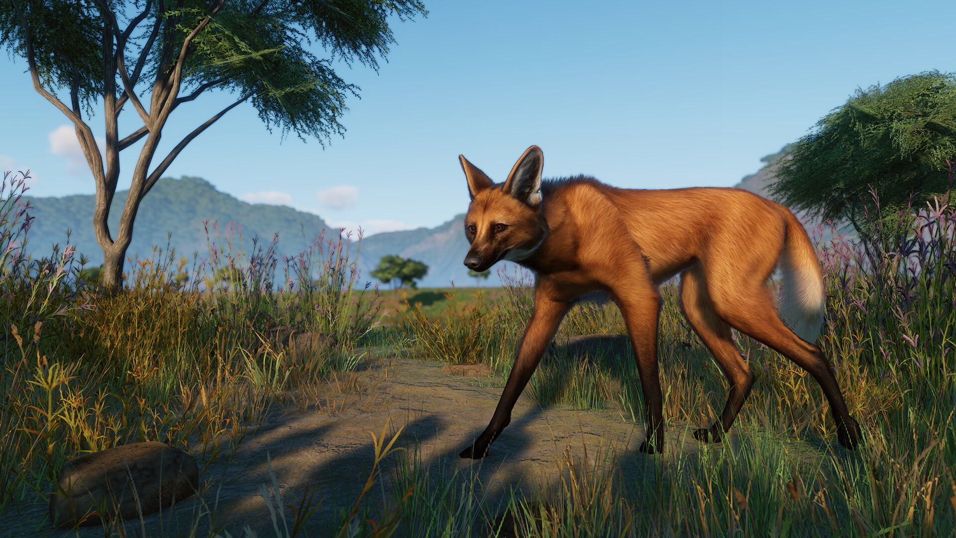 Planet Zoo - Grasslands Animal Pack DLC EU Steam CD Key screenshot 3