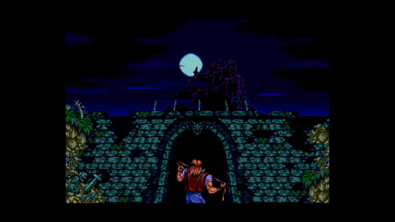 Castlevania Anniversary Collection RU PC Steam CD Key screenshot 1