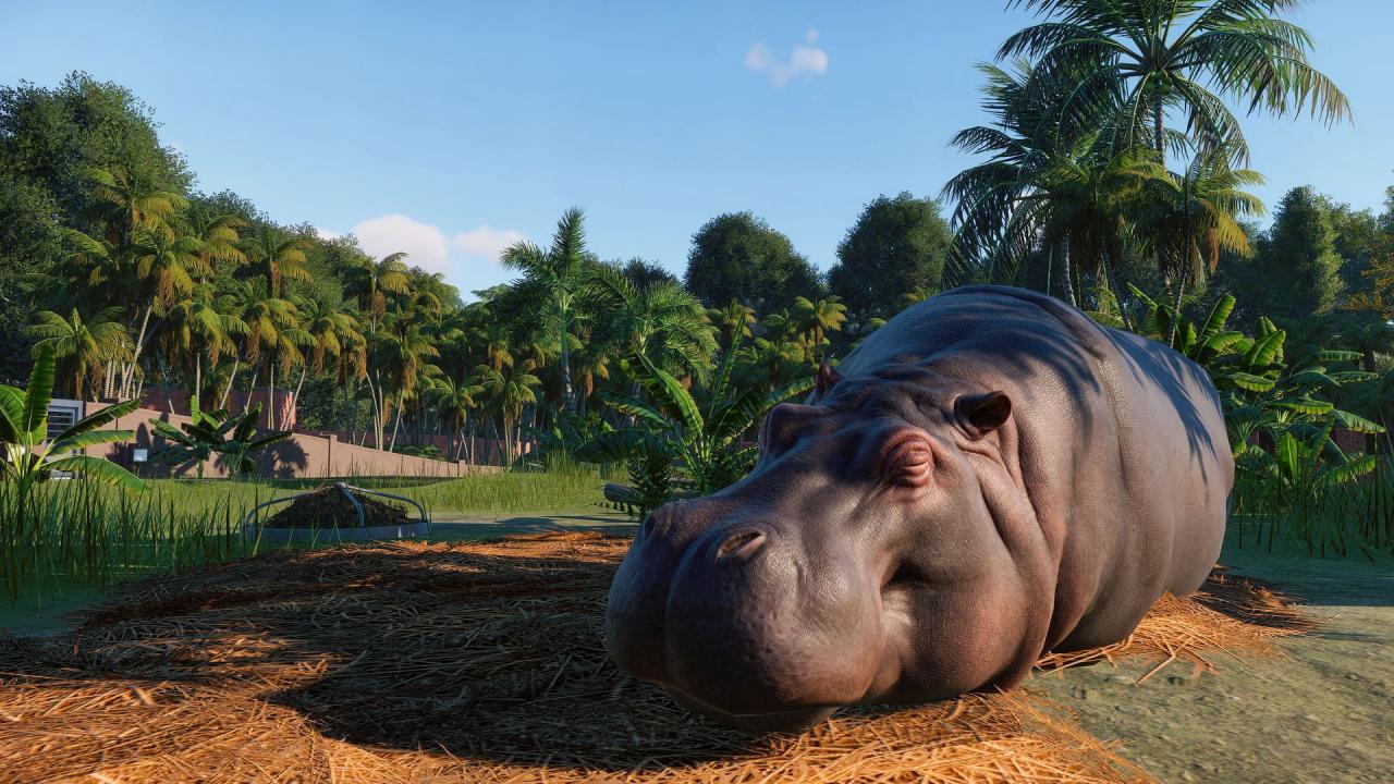 Planet Zoo PC Steam Account screenshot 7