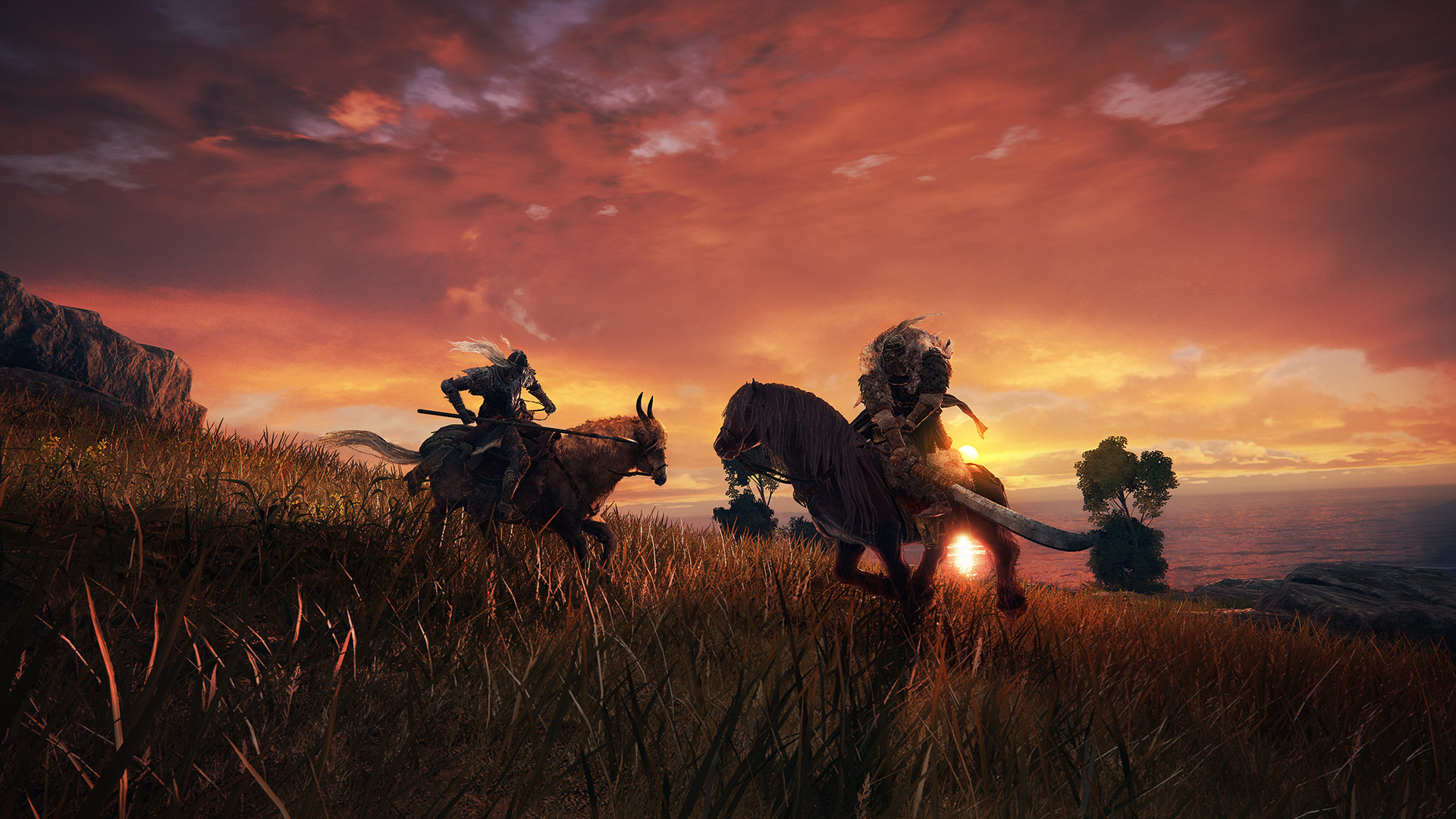 Elden Ring Deluxe Edition Steam Account with Crypto | KryptoMate