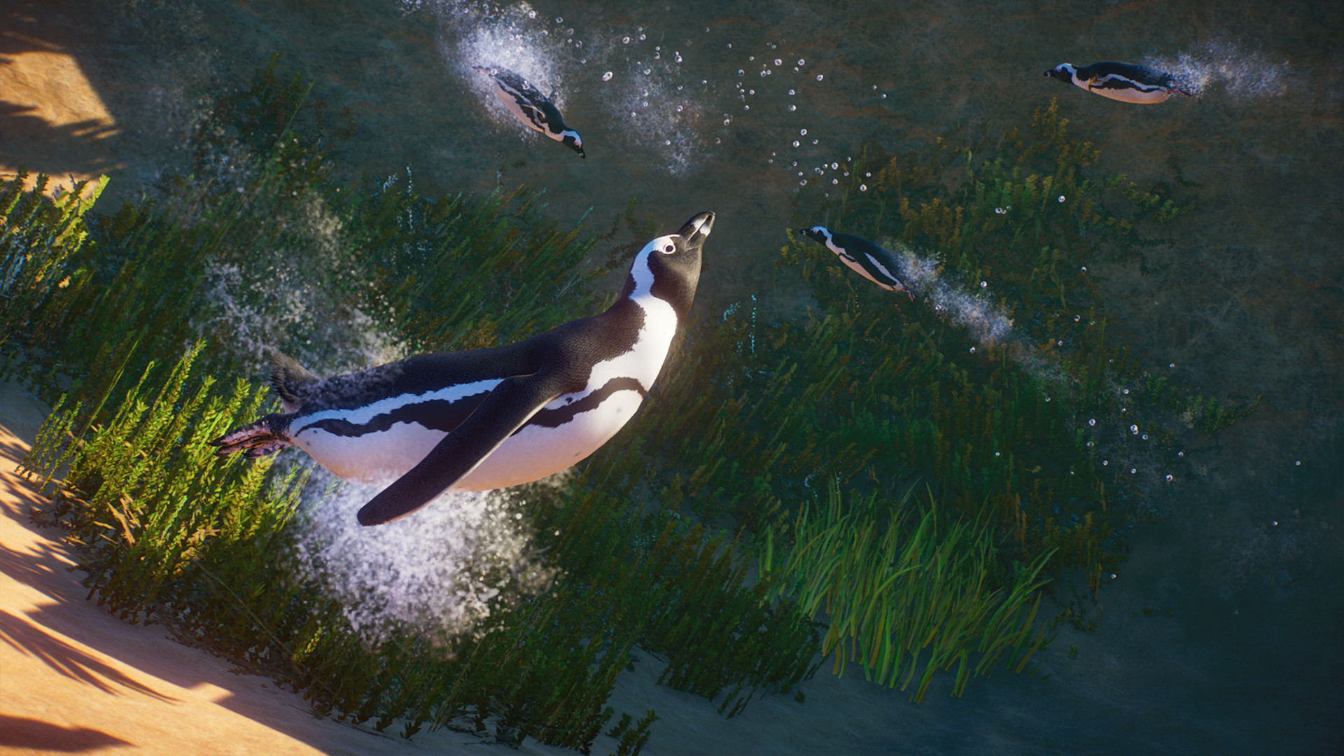 Screenshot 5 di Planet Zoo - Africa Pack DLC PC Steam CD Key