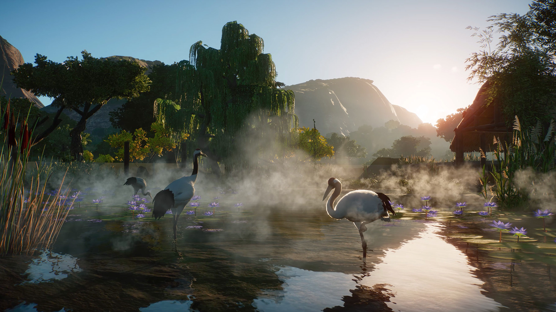 Planet Zoo - Wetlands Animal Pack DLC EU Steam CD Key screenshot 3
