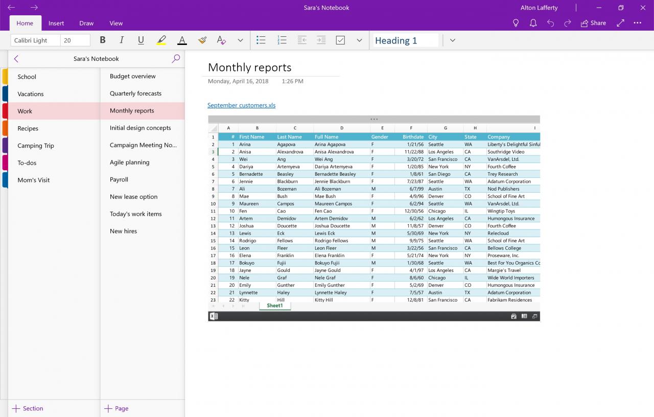 MS Office 2019 Professional Plus OEM Key screenshot 6
