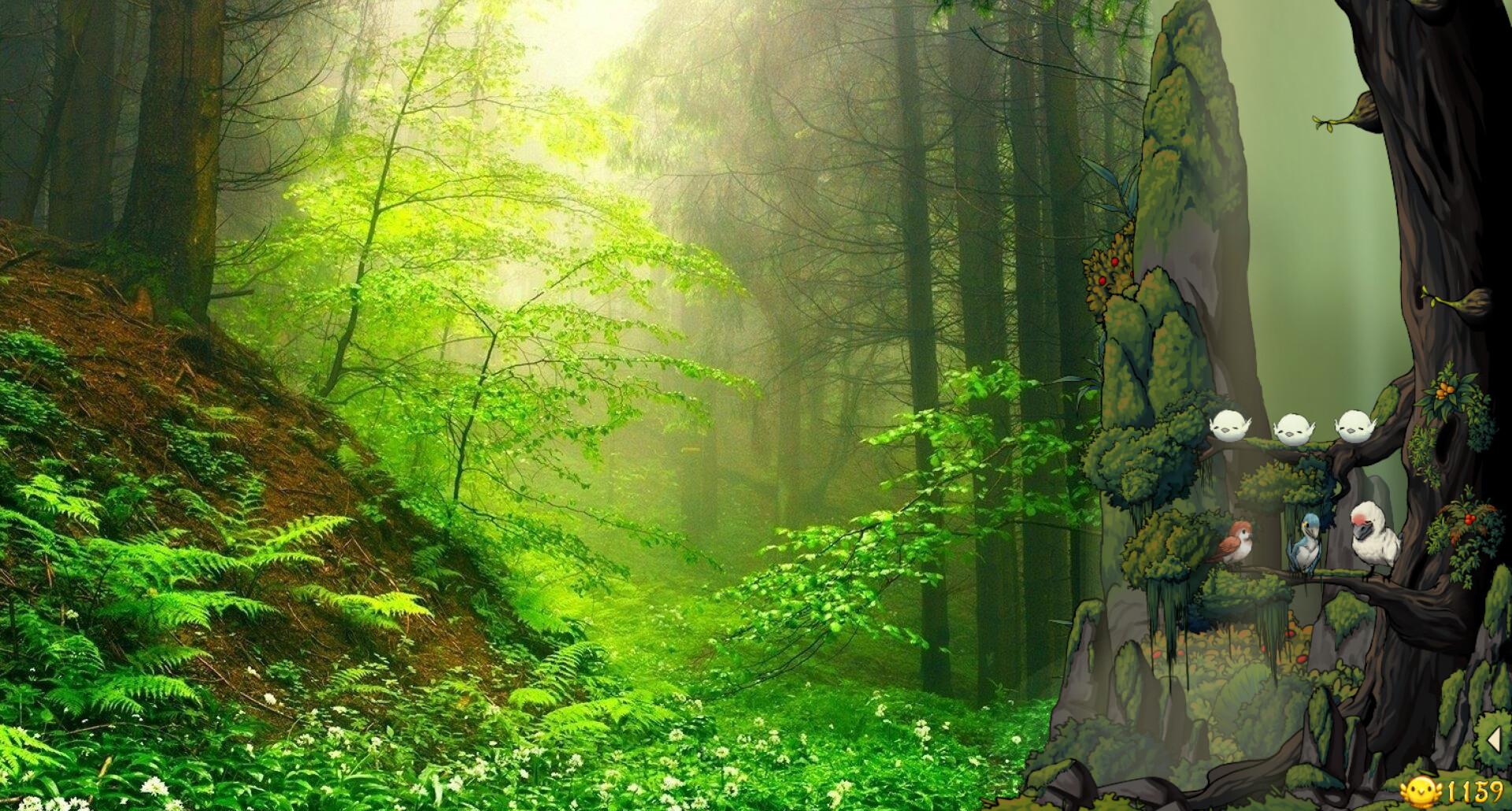 Fantasy Bird Woods PC Steam CD Keyのスクリーンショット2