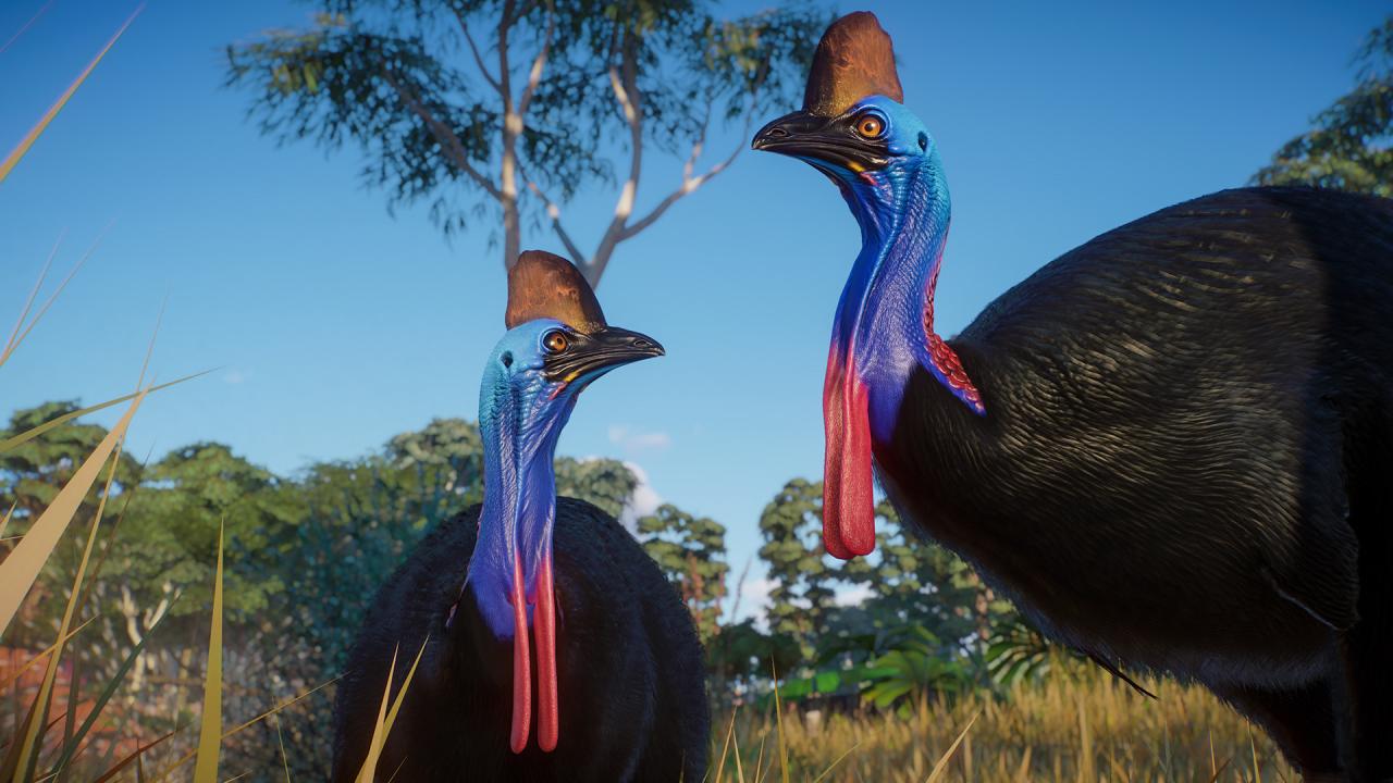 Planet Zoo - Australia Pack DLC EU PC Steam CD Key screenshot 9