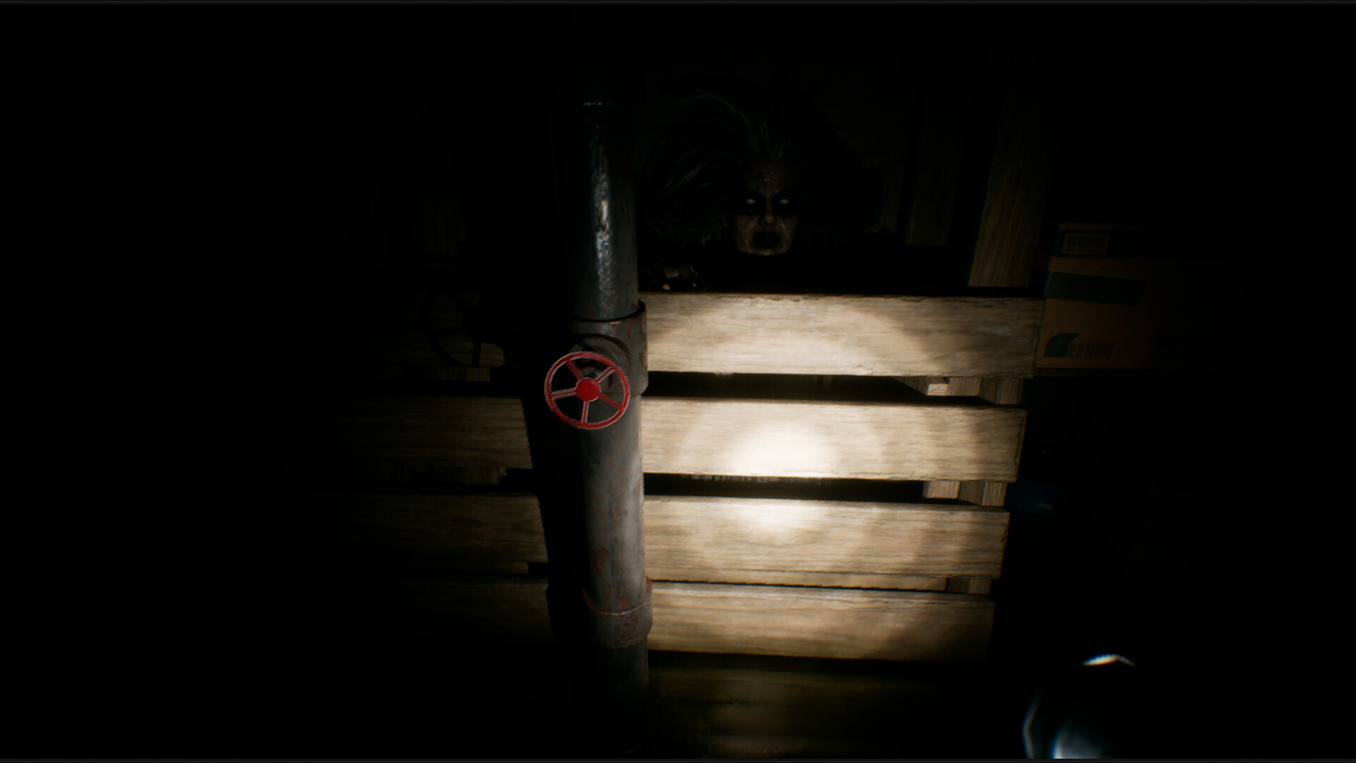 House of Lost Souls PC Steam CD Key screenshot 6