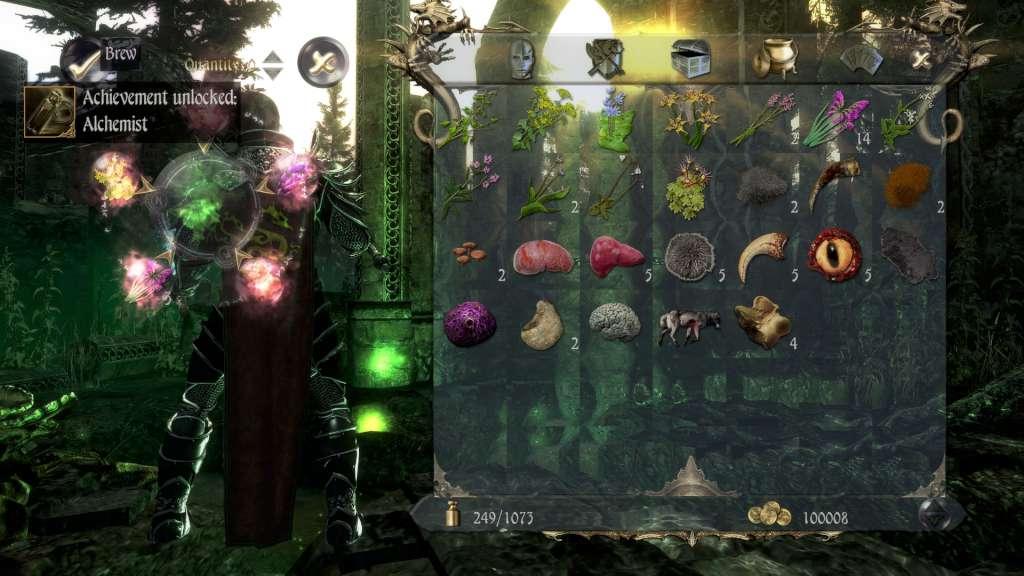 Two Worlds II HD: Call of the Tenebrae Steam CD Key screenshot 4