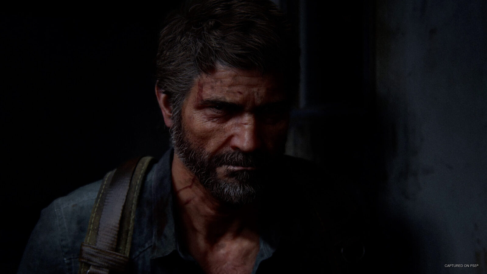 The Last of Us Part 2 Remastered EU PC Steam CD Key screenshot 9