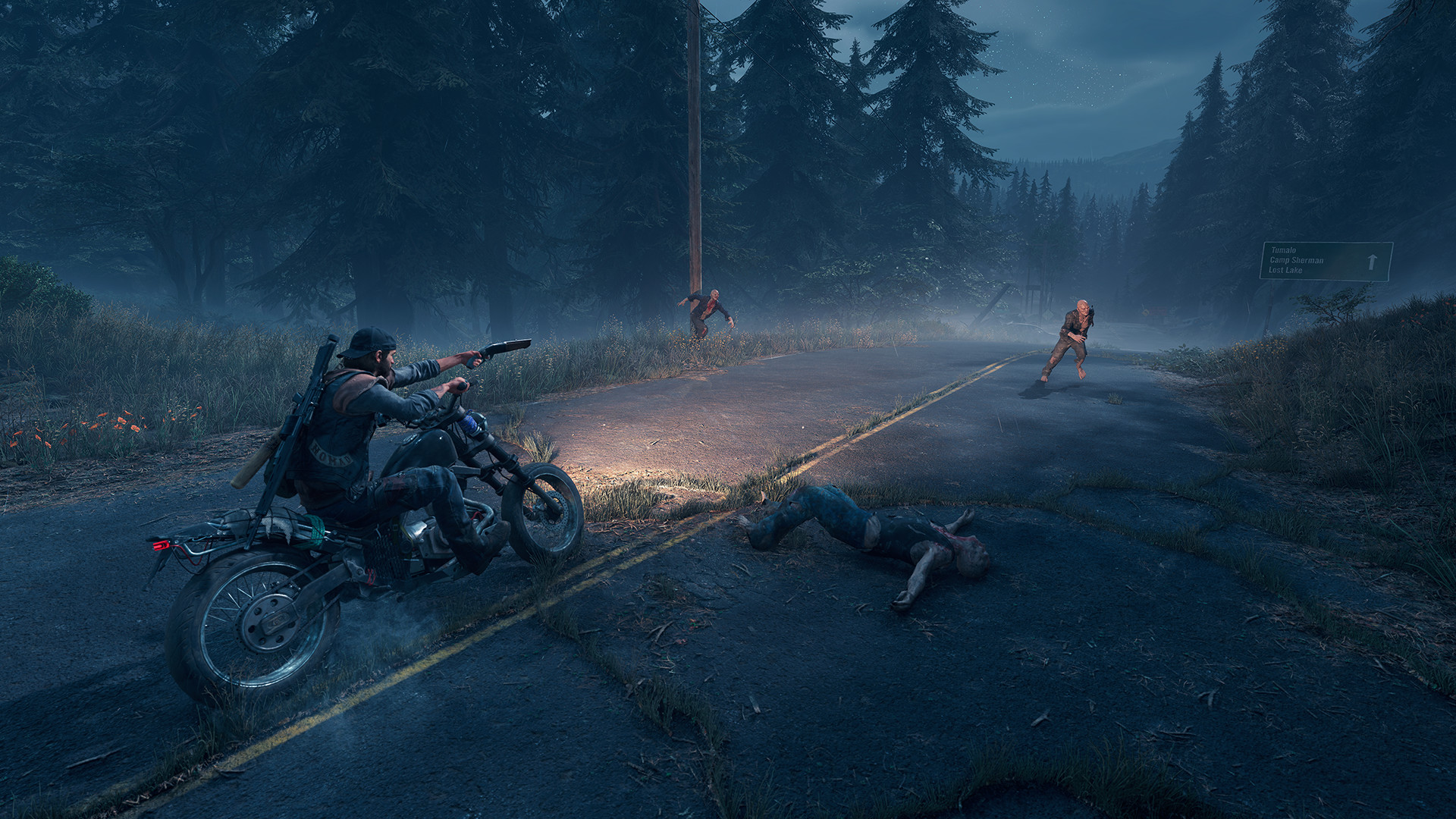 Ảnh chụp màn hình 2 của Days Gone PC Steam CD Key