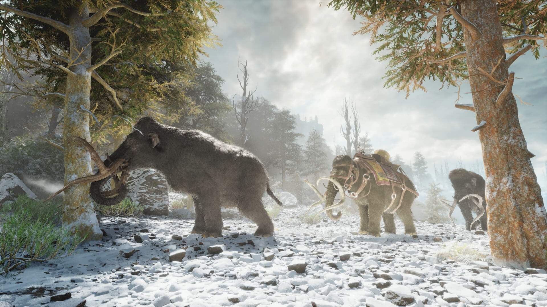 ARK: Survival Ascended Steam CD Key screenshot 6