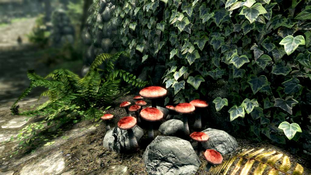 The Elder Scrolls V: Skyrim Special Edition LATAM PC Steam CD Key screenshot 4