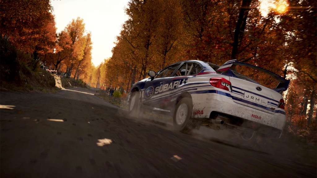 DiRT 4 TR PC Steam CD Key – Screenshot 3