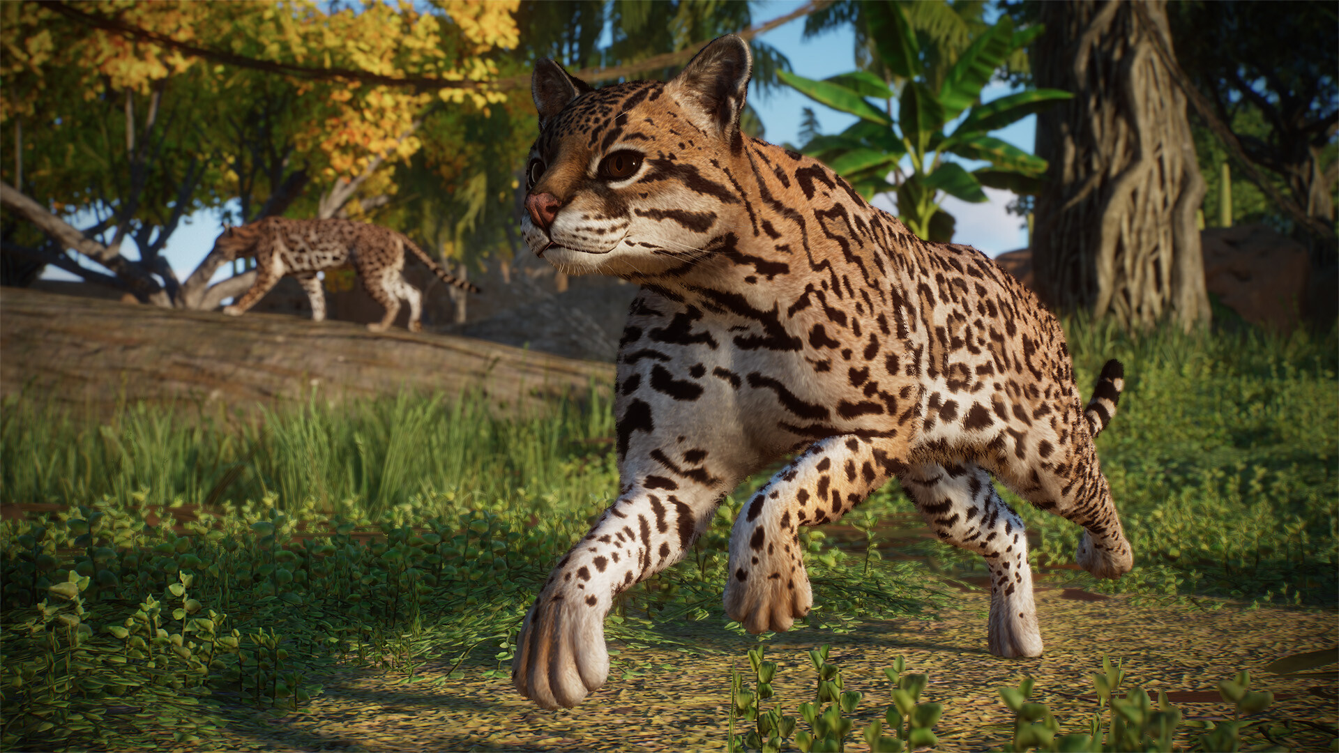 Planet Zoo - Americas Animal Pack DLC PC Steam CD Key screenshot 5