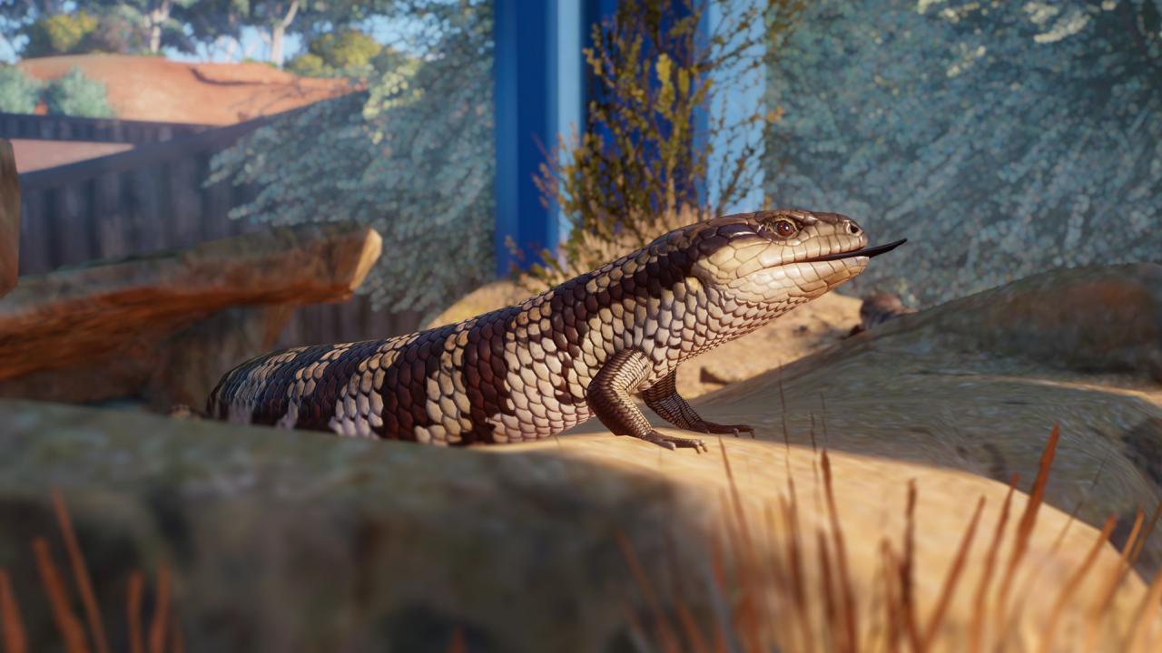Planet Zoo - Australia Pack DLC EU PC Steam CD Key screenshot 1