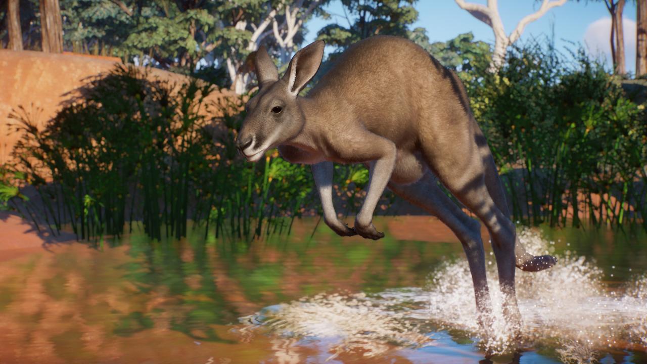 Planet Zoo - Australia Pack DLC PC Steam Altergiftのスクリーンショット4