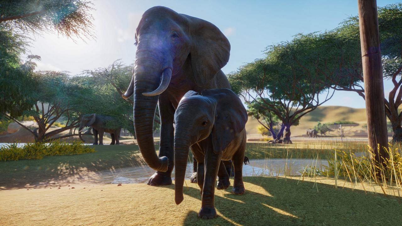 Planet Zoo: Ultimate Edition 2021 Steam CD Key screenshot 5