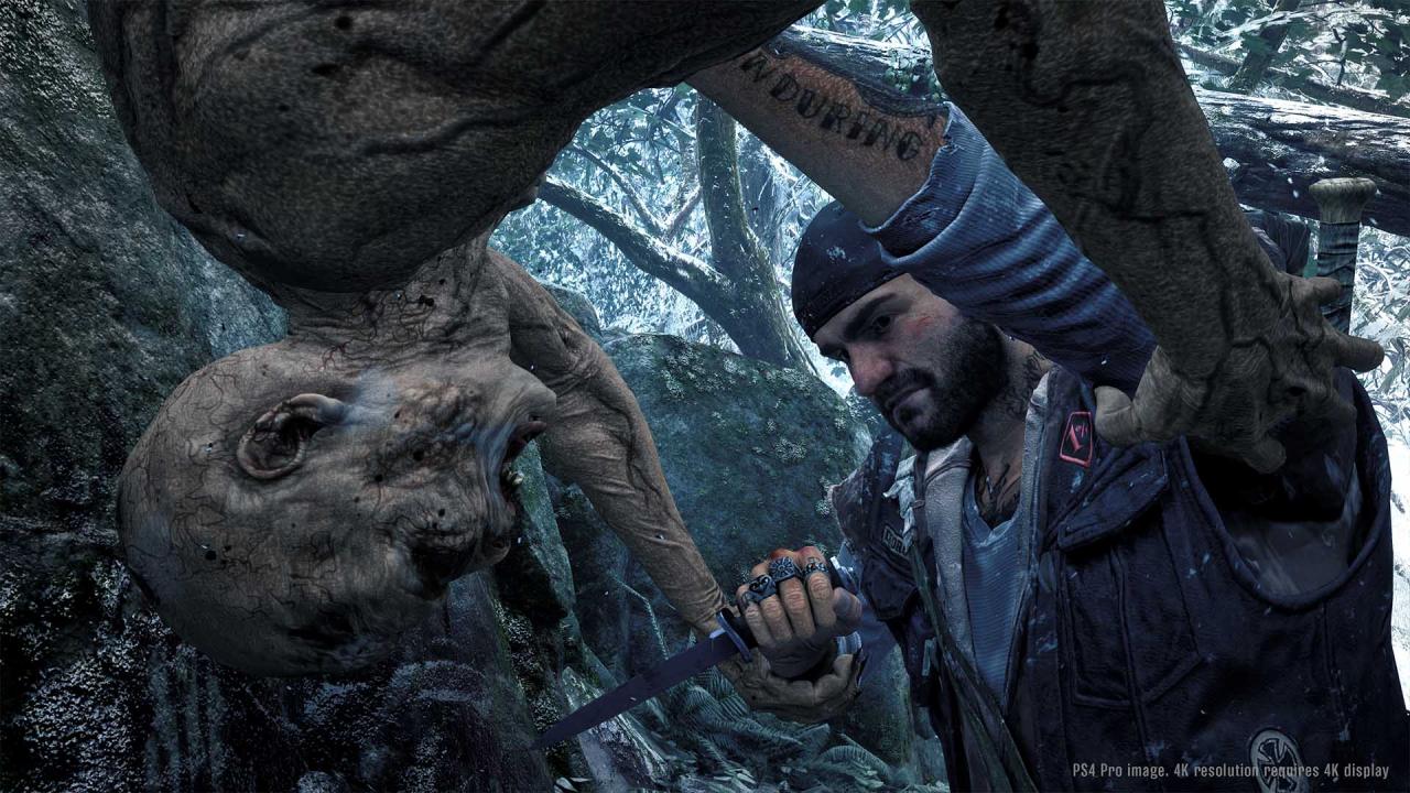 Screenshot 3 di Days Gone PS4/PS5 Account