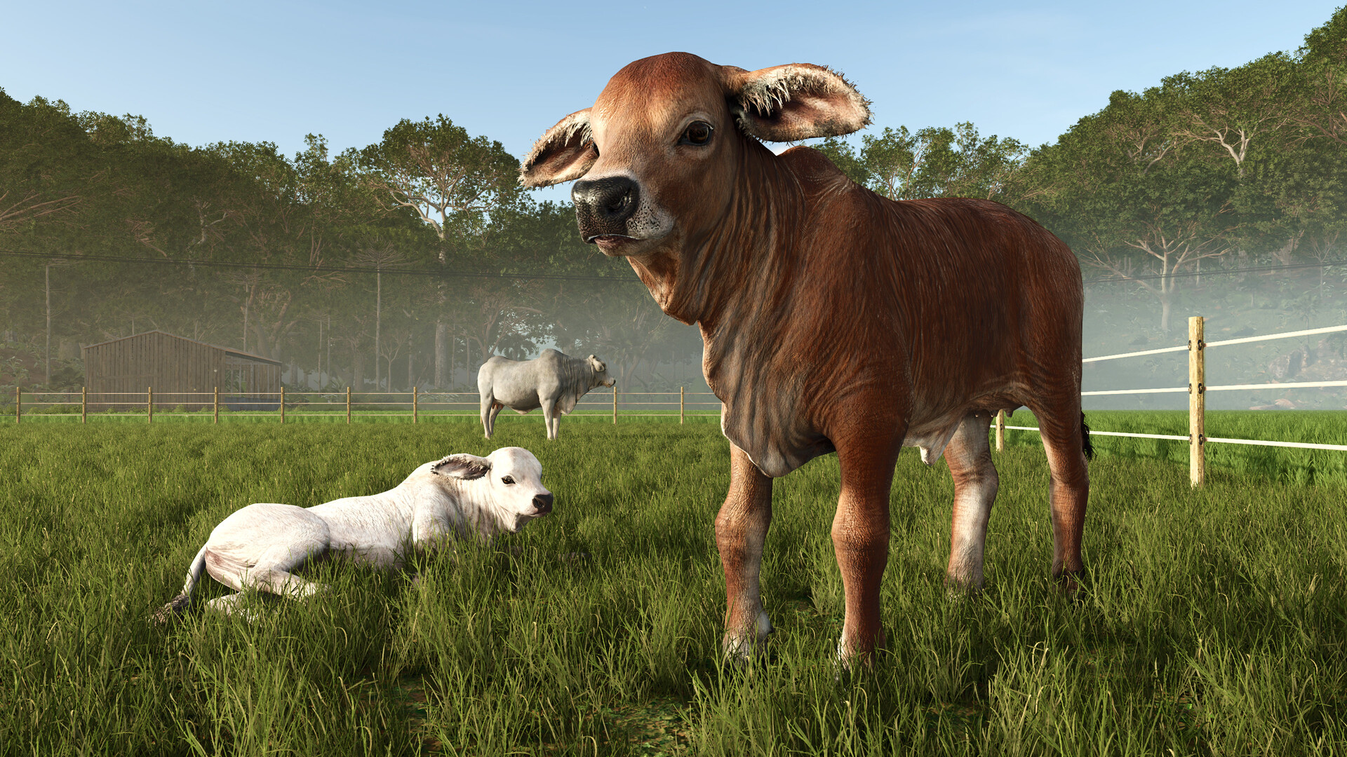 Farming Simulator 25 - Beans & Alpacas Expansion DLC PRE-ORDER EU PC Steam CD Key screenshot 3
